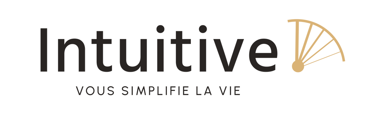 Les Intuits, l'organisateur de sac fabriqué en France