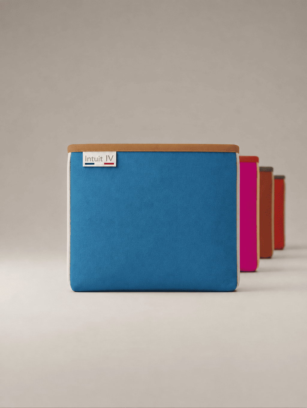 Intuit IV • Le Polyvalent
